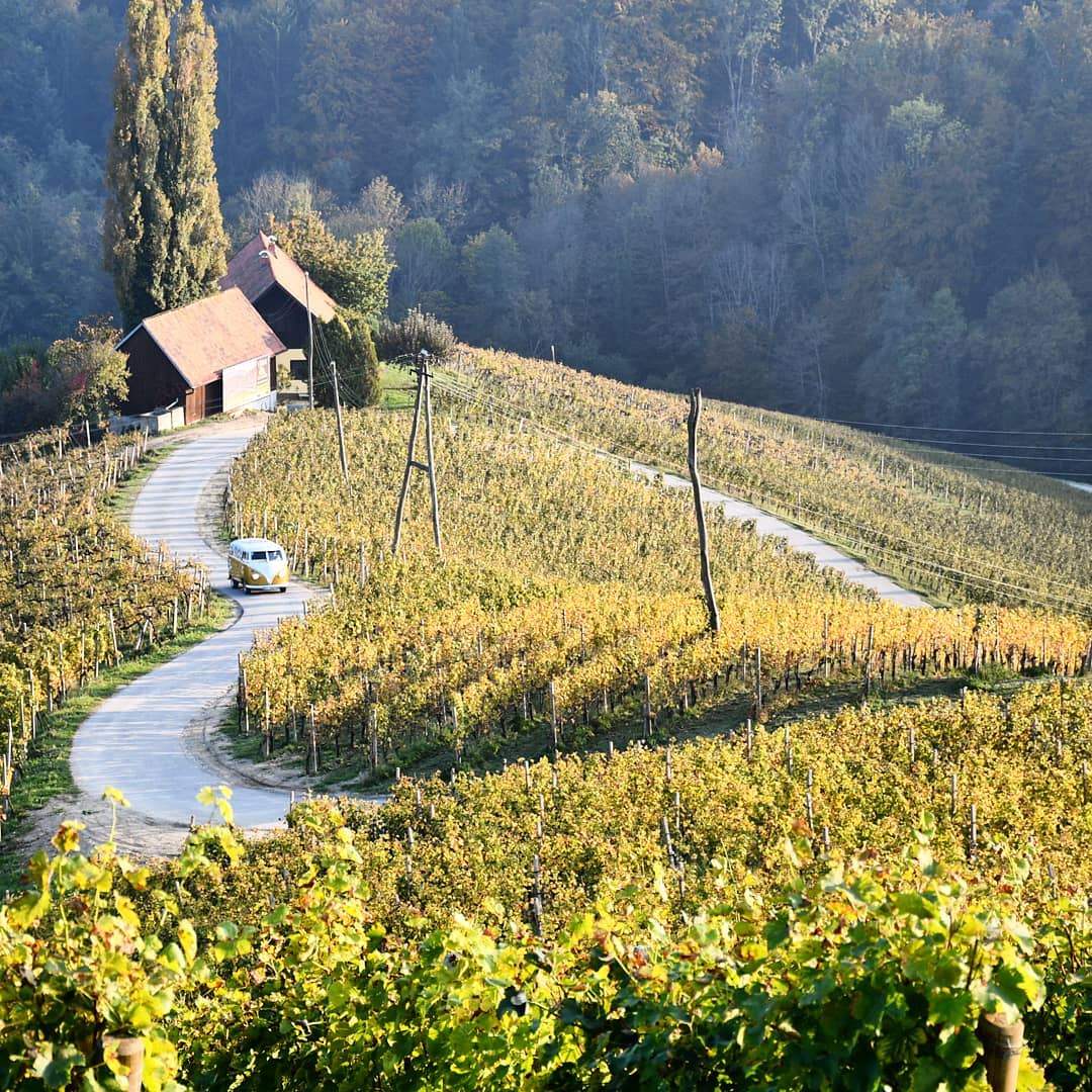 Osvojila nas je na prvi pogled: Slovenija ima najbolj romantično cesto skozi vinograde