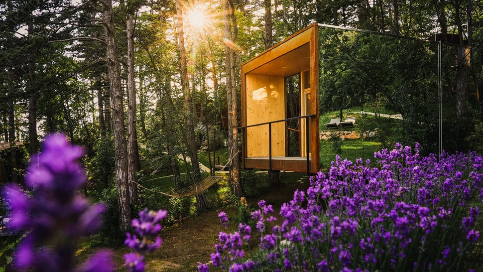 Theodosius Forest Village – čudovita gozdna vasica za glamping v Sloveniji