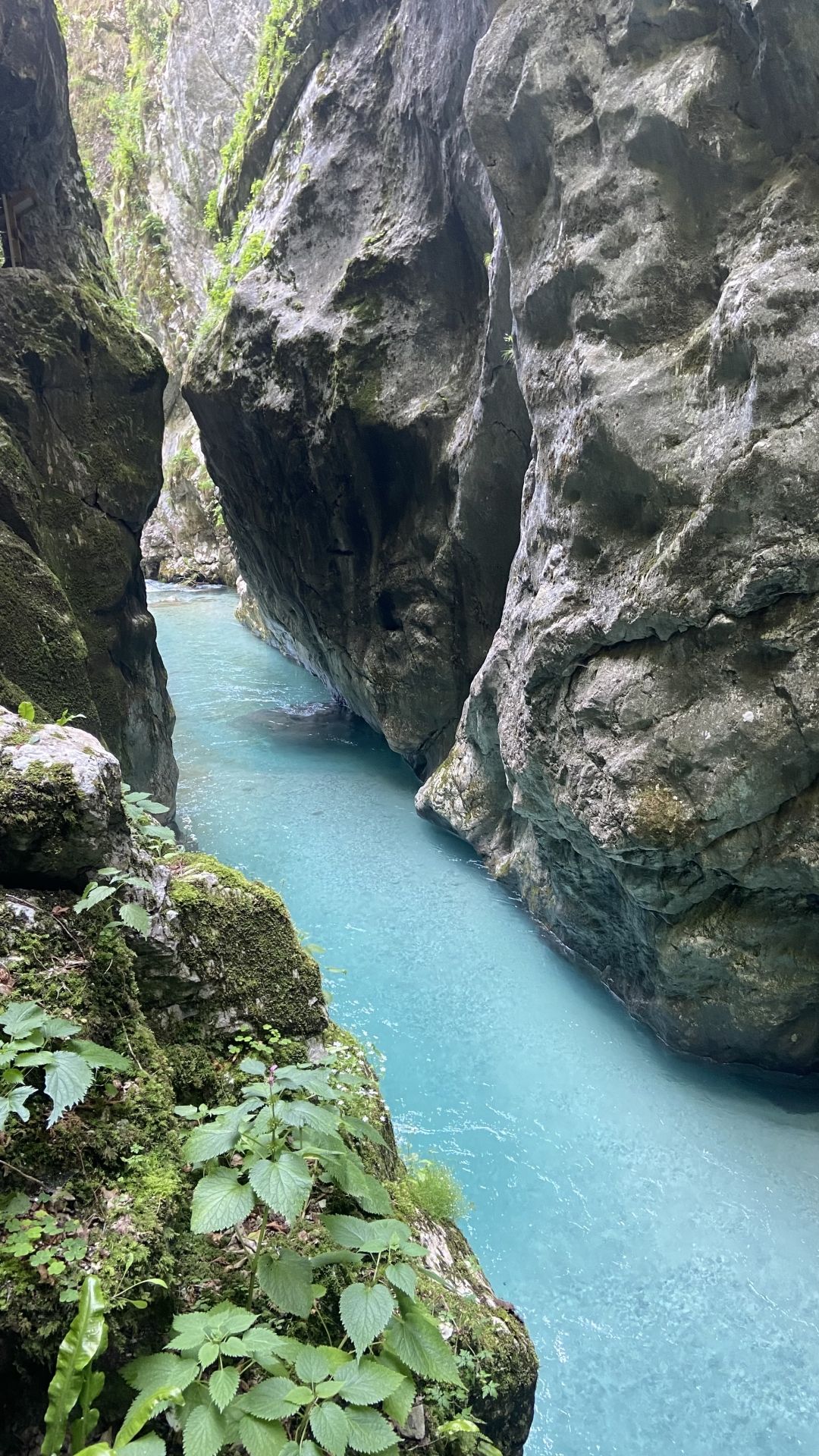 Tolminska korita: Čudoviti kanjoni v dolini reke Soče vas bodo očarali na prvi pogled