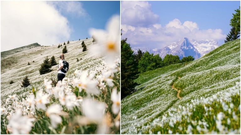 Planina Golica