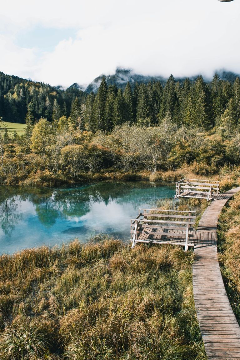 Kranjska Gora_zan janzekovic_unsplash