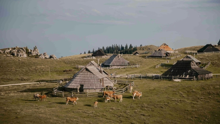 Najboljši jesenski pohodi v Sloveniji Pobegi v naravo za vsako raven