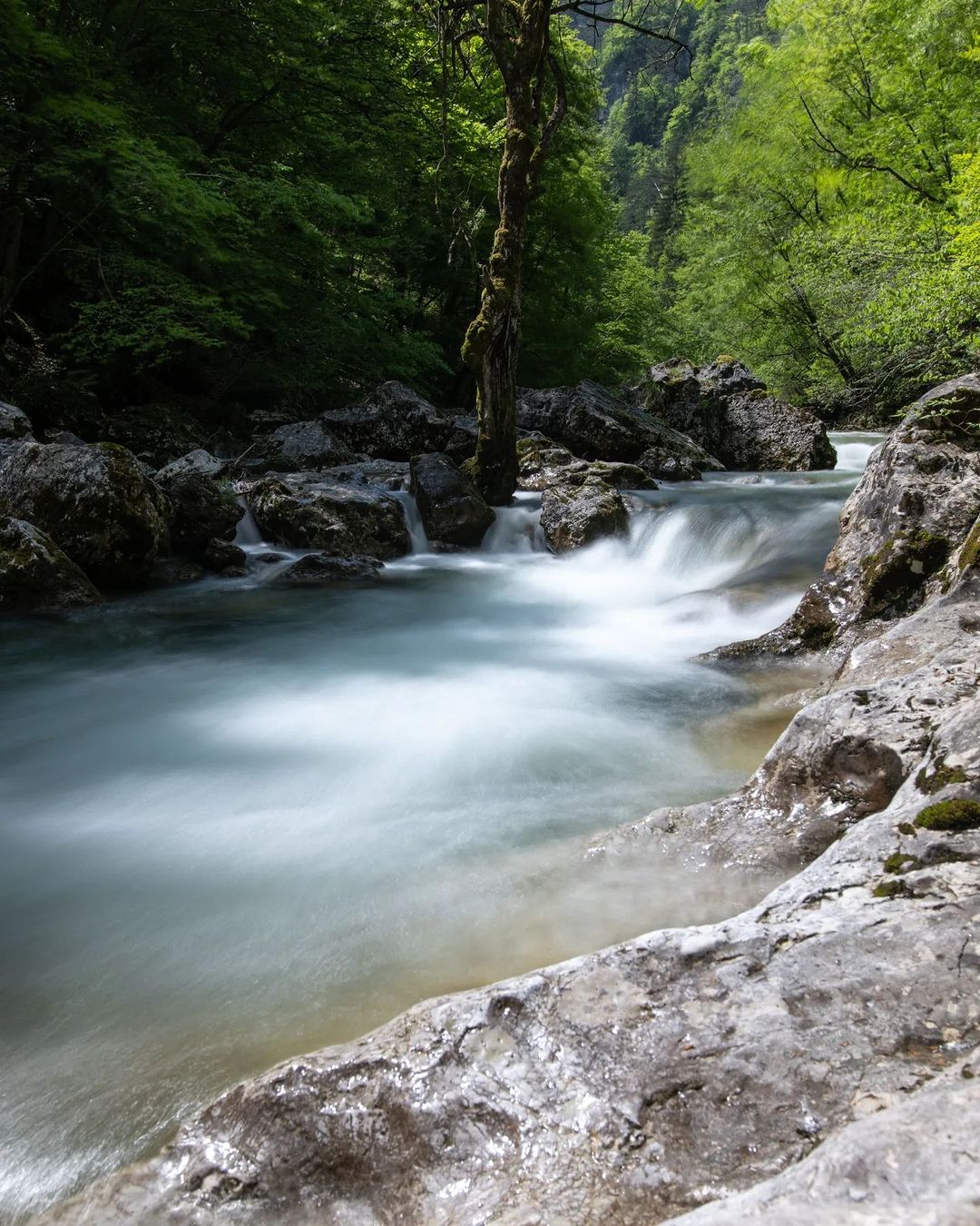 Trije čudoviti dnevni izleti blizu Ljubljane: Narava, aktivnosti in kulinarični užitki