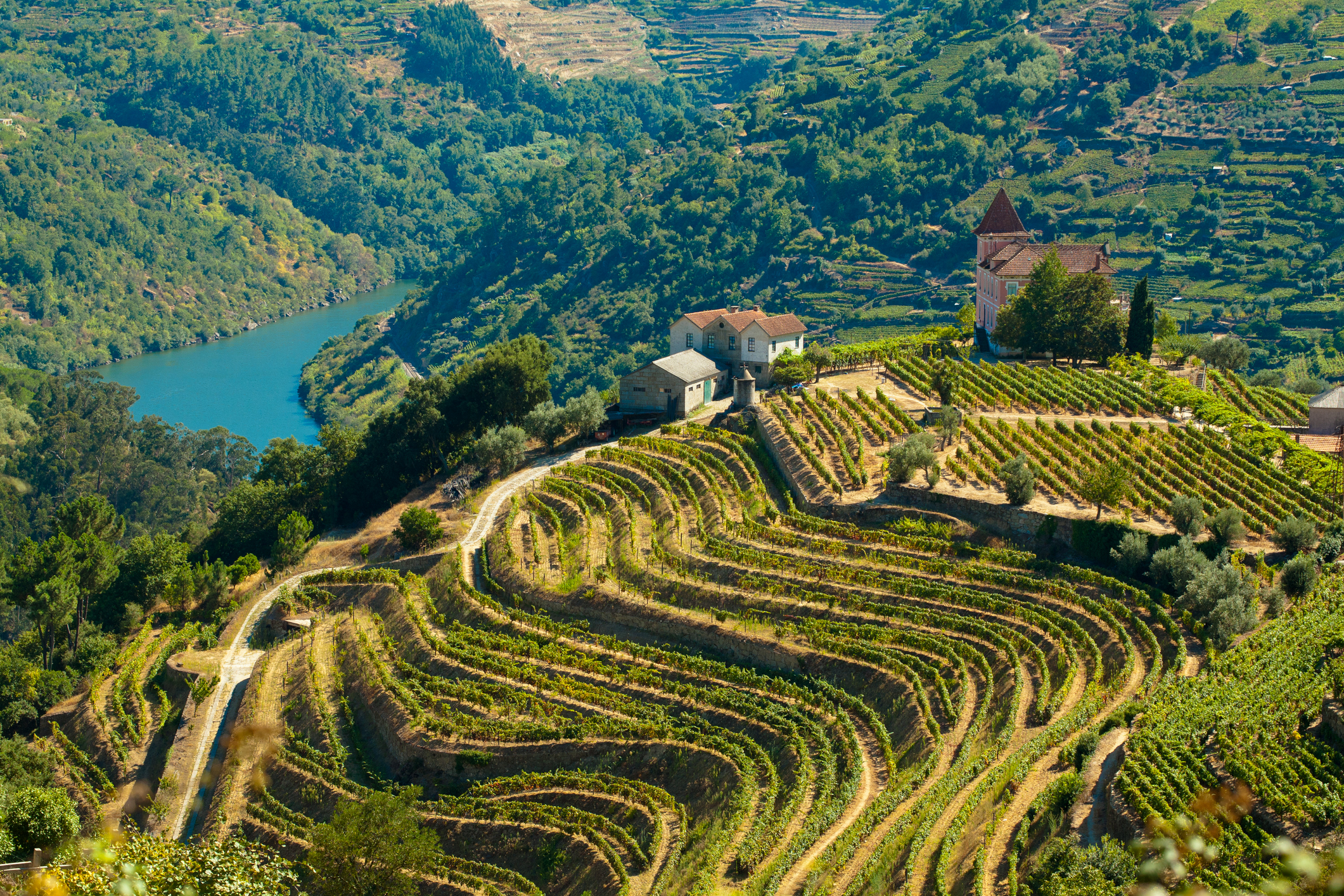 Douro, Portugal_PRG-Estudio_iStock-133889384