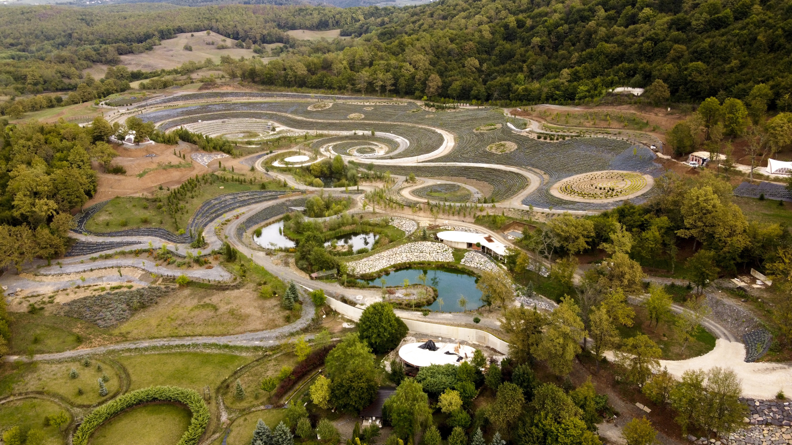 Van Gogh, Zvjezdana noć, park, Bosna i Hercegovina_Profimedia