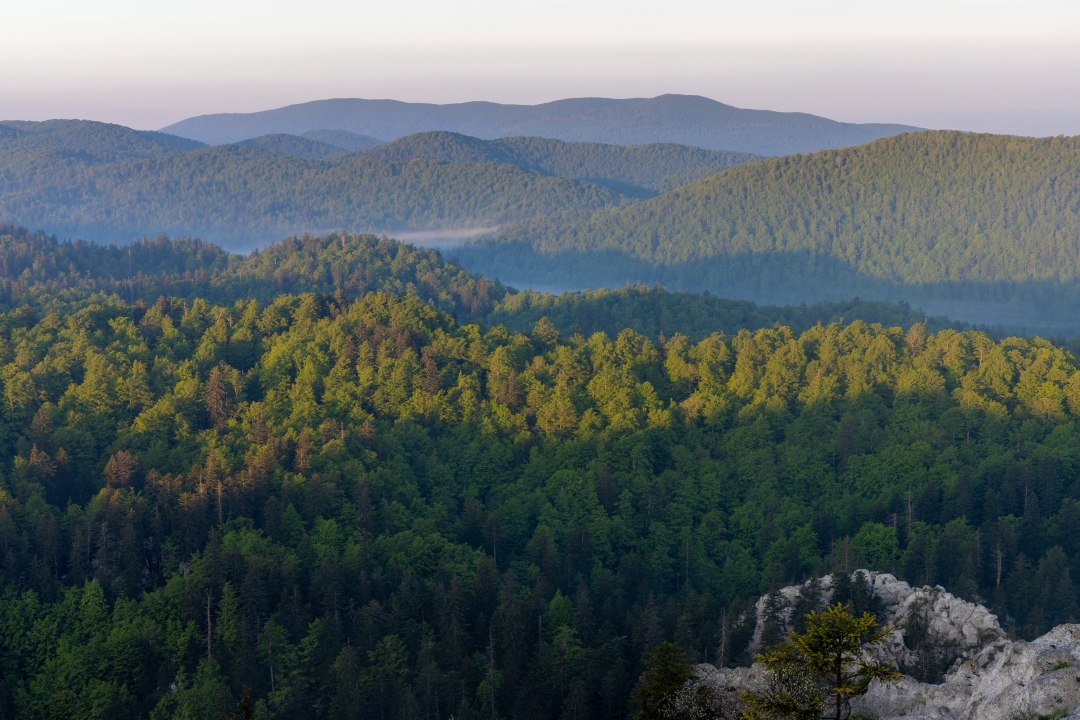 Gorski kotar_foto_Goran Safarek_iStock-1499139989