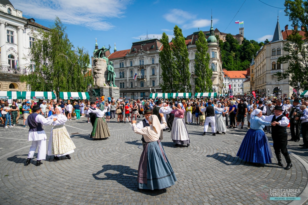 slovenska vinska pot - martinovanje v ljubljani