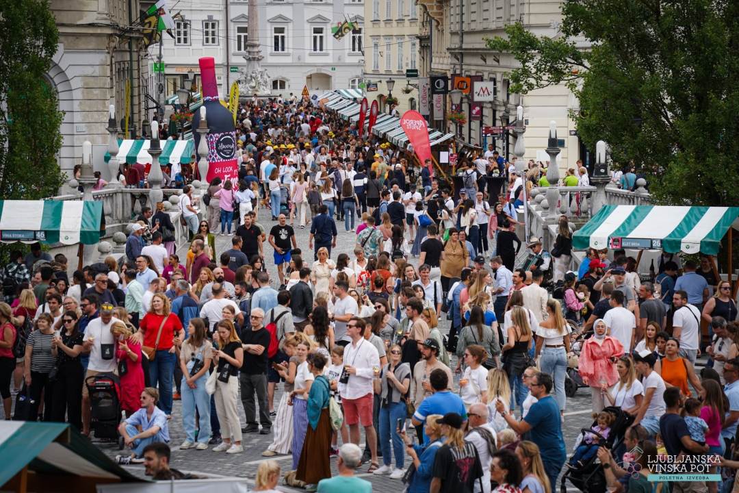 slovenska vinska pot - martinovanje v ljubljani