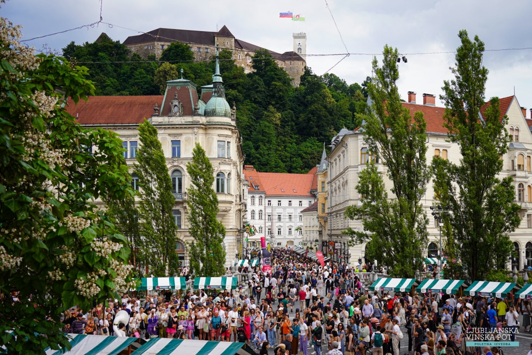 slovenska vinska pot - martinovanje v ljubljani