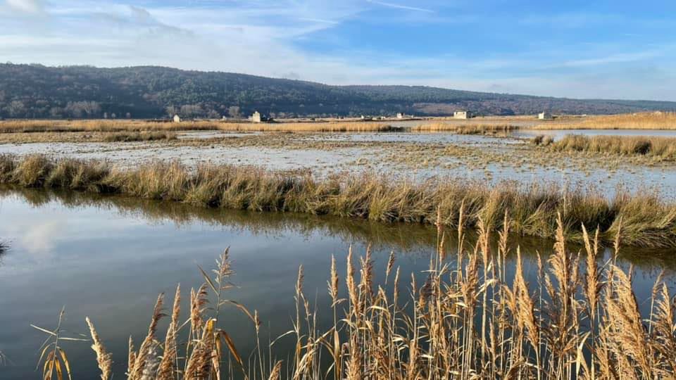 Krajinski park Sečoveljske soline