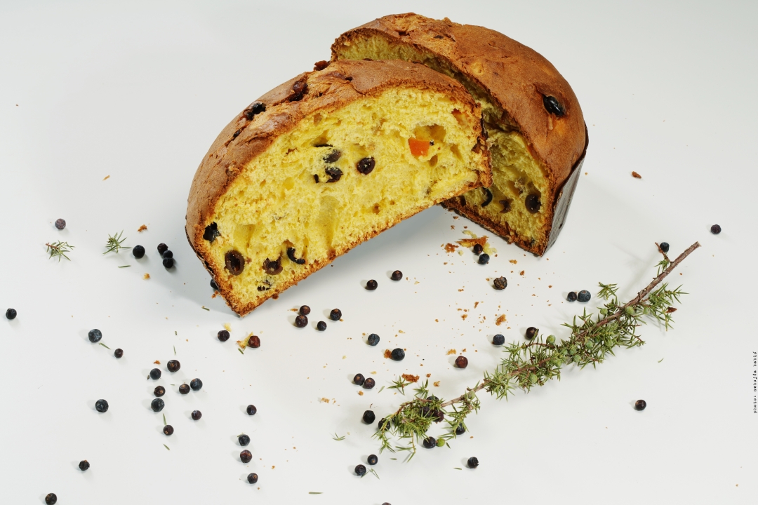 panettone tomaž kavčič