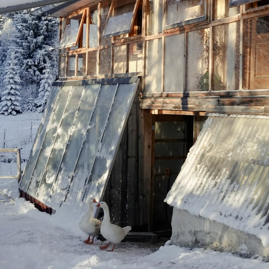 Hiša Mandrova: Oživljanje tradicije skozi skupnost in obrt