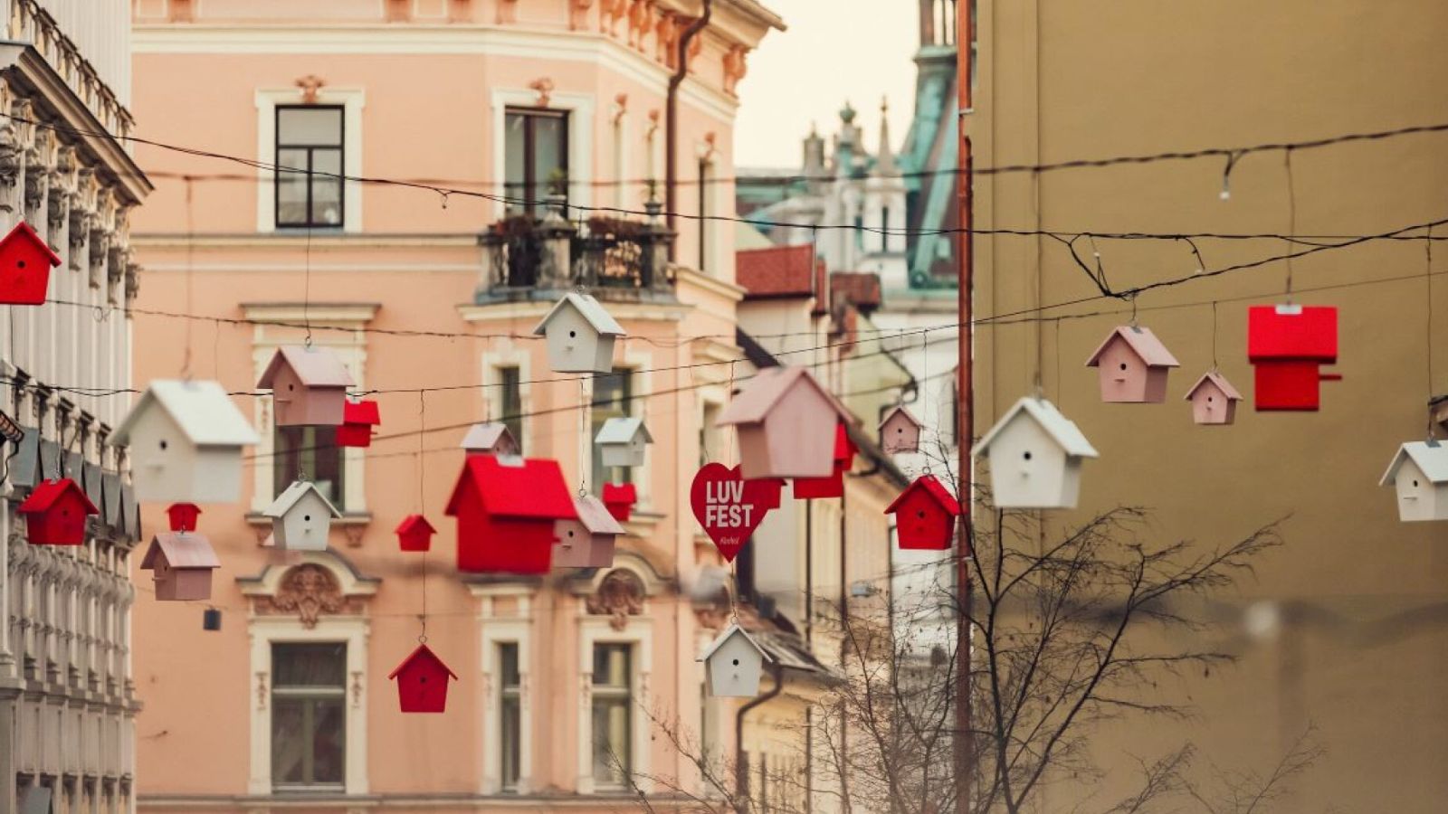 Prihaja LUV Fest: Slavimo ljubezen v Ljubljani